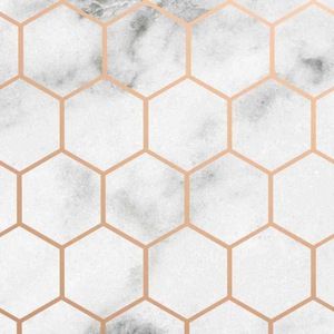 Meet your Posher, Cady